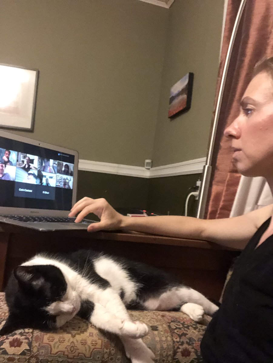 sciclyst's tweet photo. We did it, guys. It was tiring (esp for the cats at the end) and required lots of “diplomacy”. Now we need to continue to work together to make Columbia reflect its greatest ideals and be ever more the leading, world class institution it is. #UAW4100 @CPWUAW https://t.co/jwSPX5j4oz