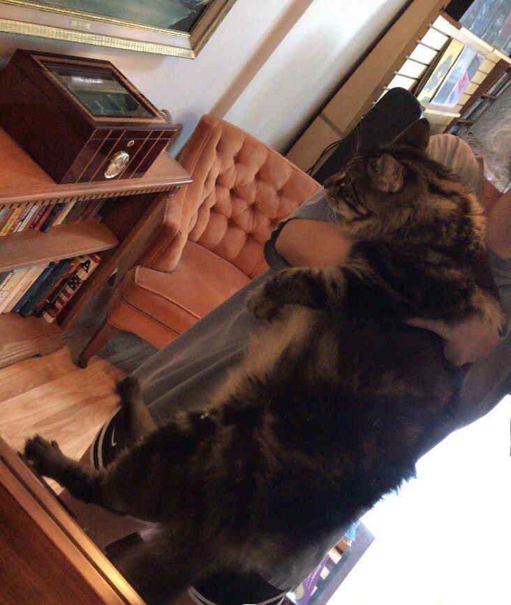 notheartburn69's tweet photo. When is this thing gonna stop growing help he’s almost bigger than me https://t.co/B5iebjHniL