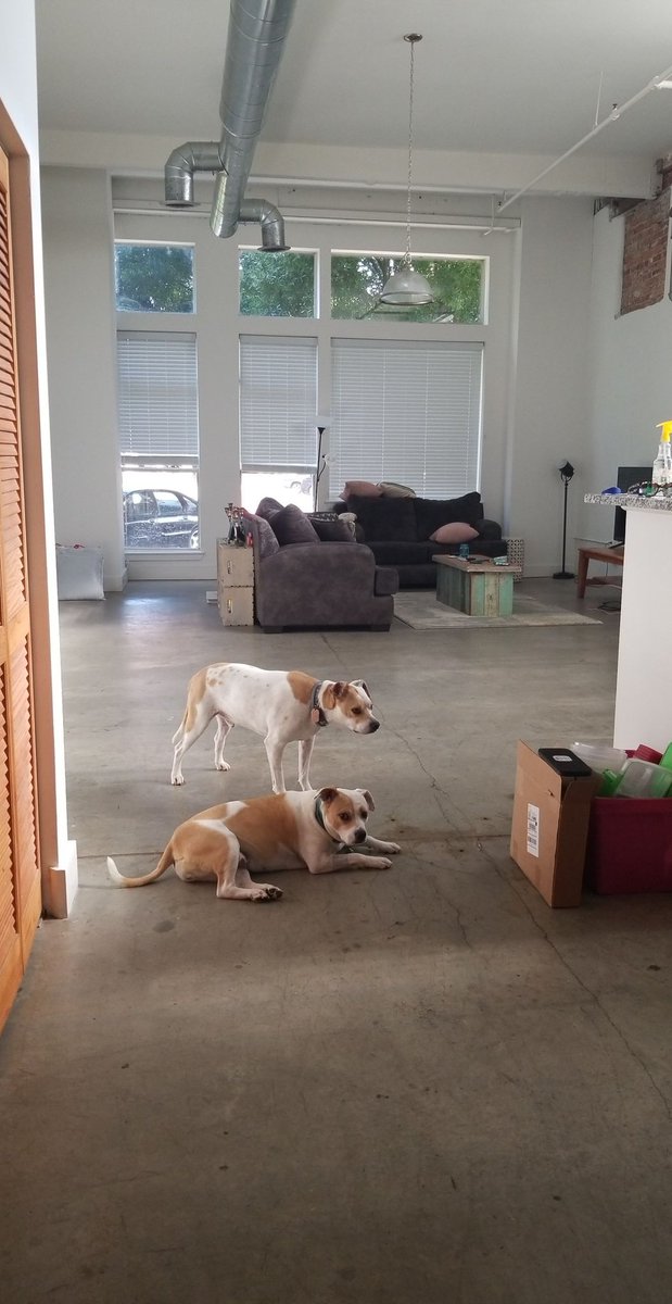 Were in this thang 😻😻