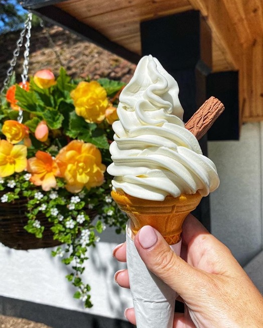 TLMarketingLtd's tweet photo. We all could do with one of these today! 🍦😍 Great photo by our friends at the @irishnatstud. #tlmarketing #irishnationalstud #intokildare #icecream #yummy #treats  #summerlovin https://t.co/asOOZckwHW