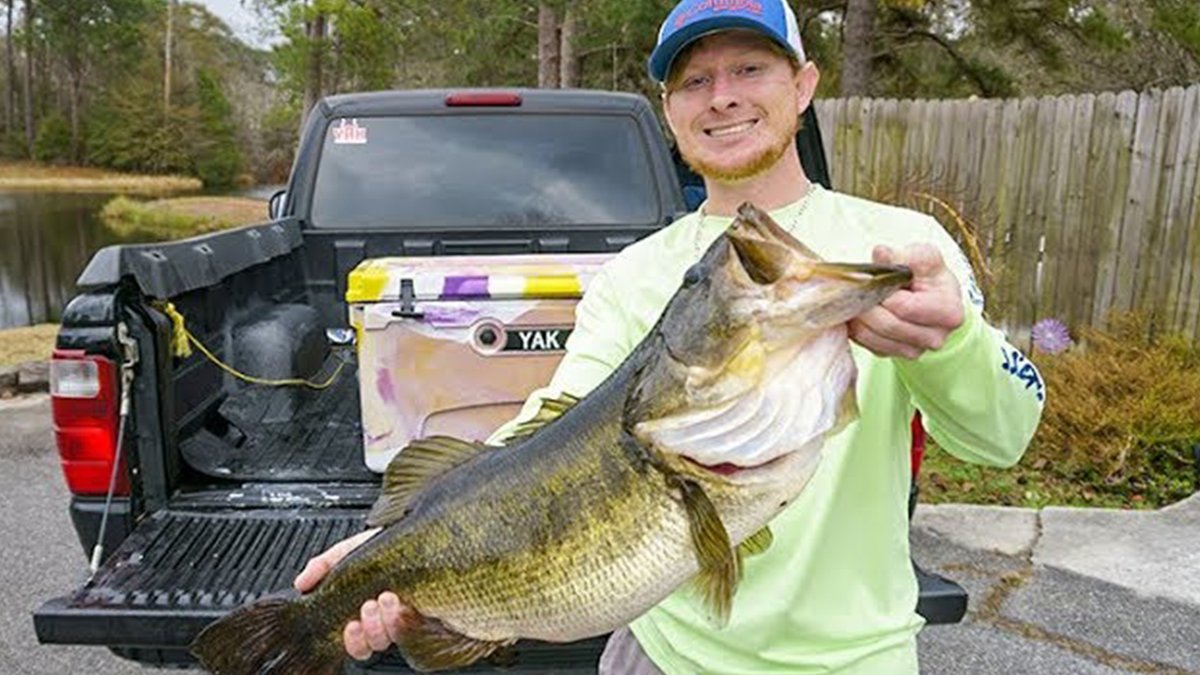 RT if you love big fish! Here's a compilation video I made of the biggest bass I have caught on camera (including several true double digits) youtu.be/eIbn_BJML98