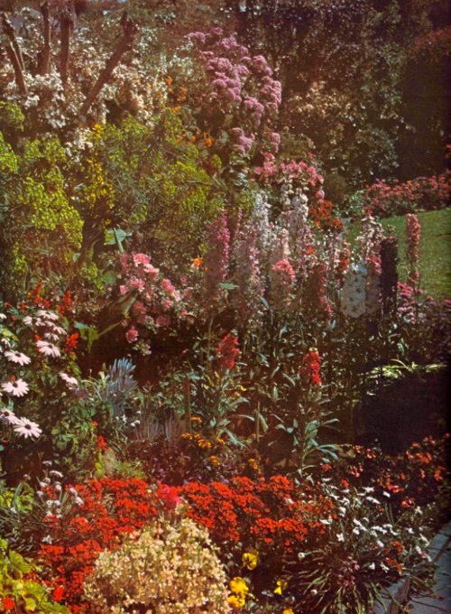 𝐷𝐸𝑅𝑁𝐼𝐸𝑅 𝐿𝐴𝑌𝑂𝑈𝑇.

𝐉’𝐚𝐢 𝐫𝐞𝐭𝐫𝐨𝐮𝐯𝐞́ 𝐦𝐞𝐬 𝐥𝐢𝐛𝐞𝐫𝐭𝐞́𝐬 𝐝𝐚𝐧𝐬 𝐥’𝐚𝐧𝐭𝐫𝐞 𝐝𝐞 𝐬𝐞𝐬 𝐛𝐫𝐚𝐬.