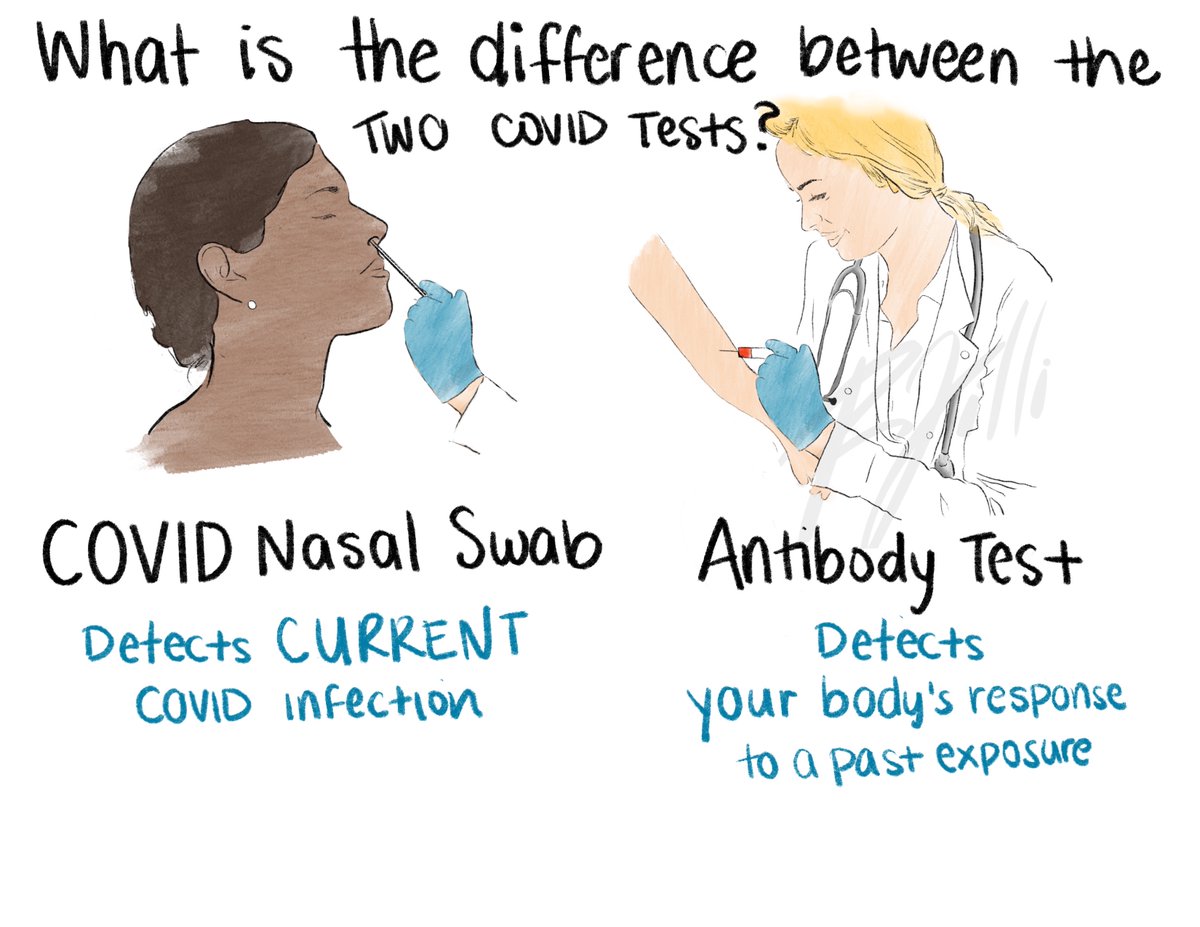 rebeccalkellner's tweet photo. Why are there two #COVID19 tests? is there a difference?... 

YES! https://t.co/IfxywsewZG