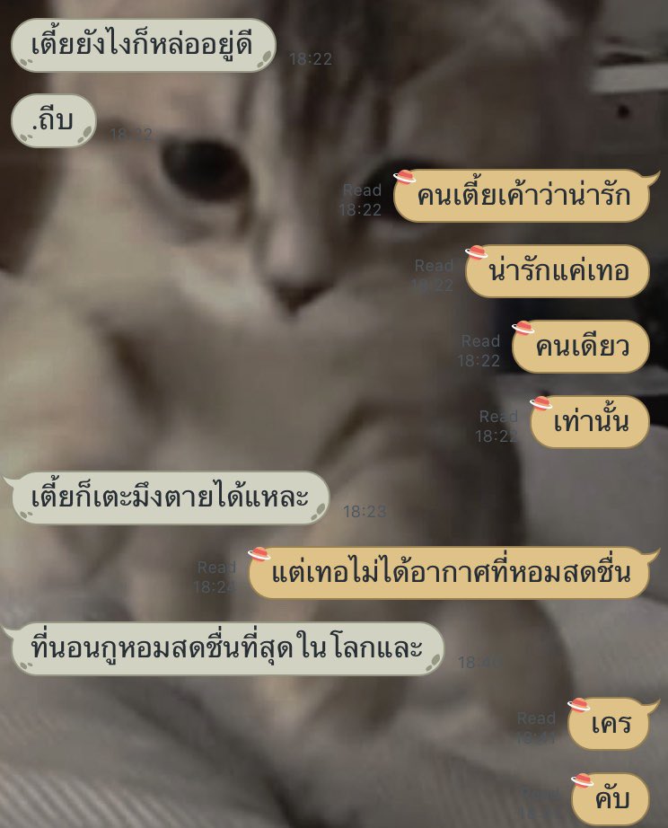 แอคขิงไอ้ควาย🍞🐃💗 tweet media