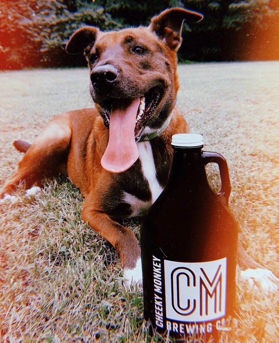 The dog days of summer ☀️