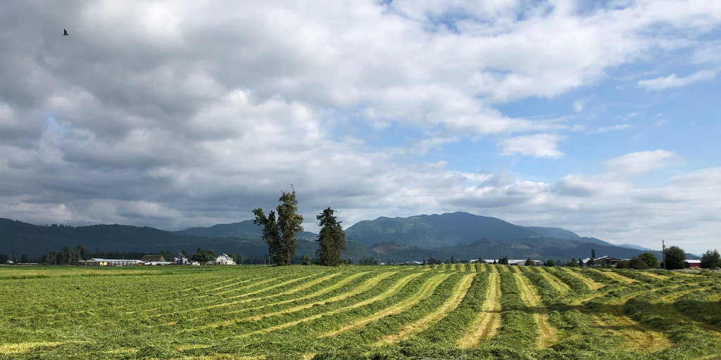 bcagcouncil's tweet photo. 6 areas have been phased-in for nutrient management plan (NMP) requirements under the AEM Code including Abbotsford, Cobble Hill, Grand Forks, Langley, Osoyoos &amp; Spallumcheen vulnerable aquifer areas.  NMPs will be required for spring 2021. More info: https://t.co/KojrNlGbTd https://t.co/RyhsAO23ww