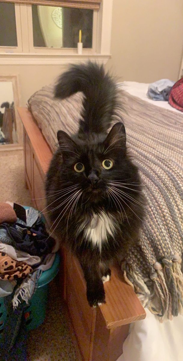 Caitlin Denman tweet media