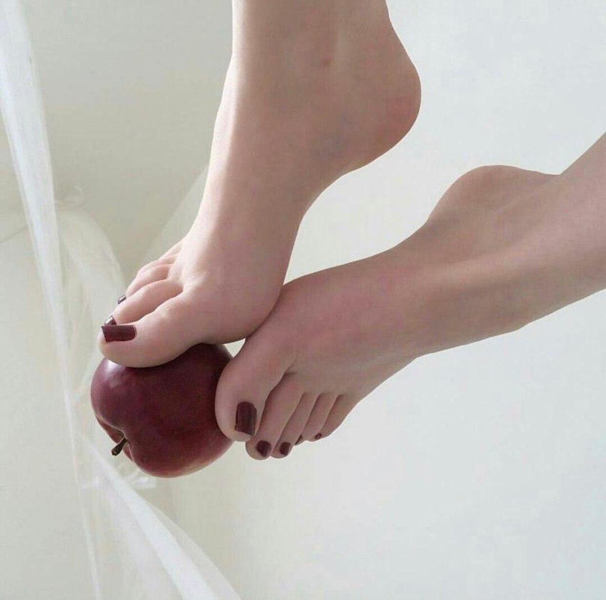 Feettiches's tweet photo. ¿A quien más le gustaría ser la manzana?🔥💋💦 
#piesdefamosas #pieshermosos #piesbonitos #feetforsale #piessexis #suggardaddy #sugarmommy #paypal #sexispies #feetpicsforsale https://t.co/MbNjQCBhpO