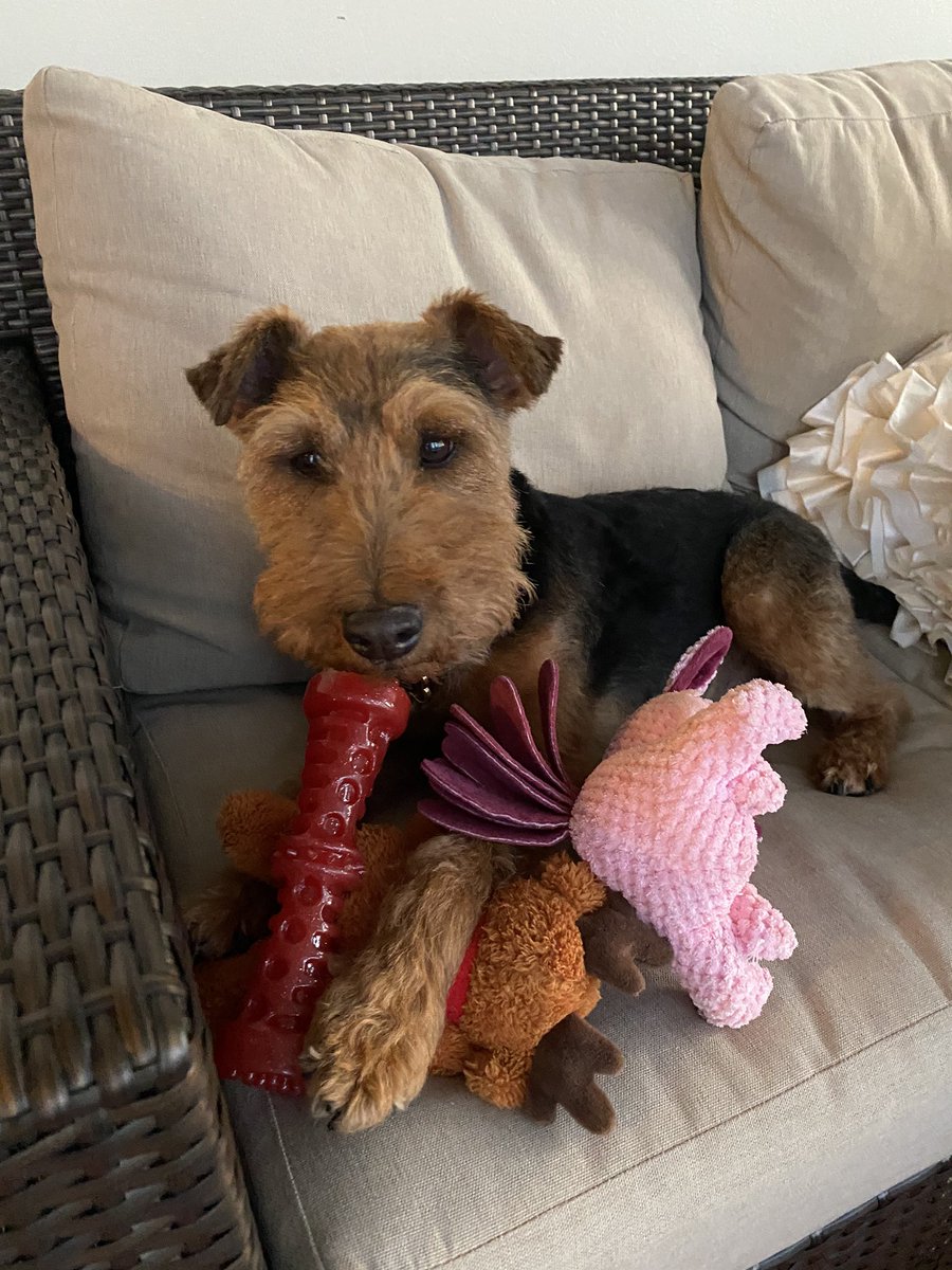 Daniel V. Zurawski tweet media