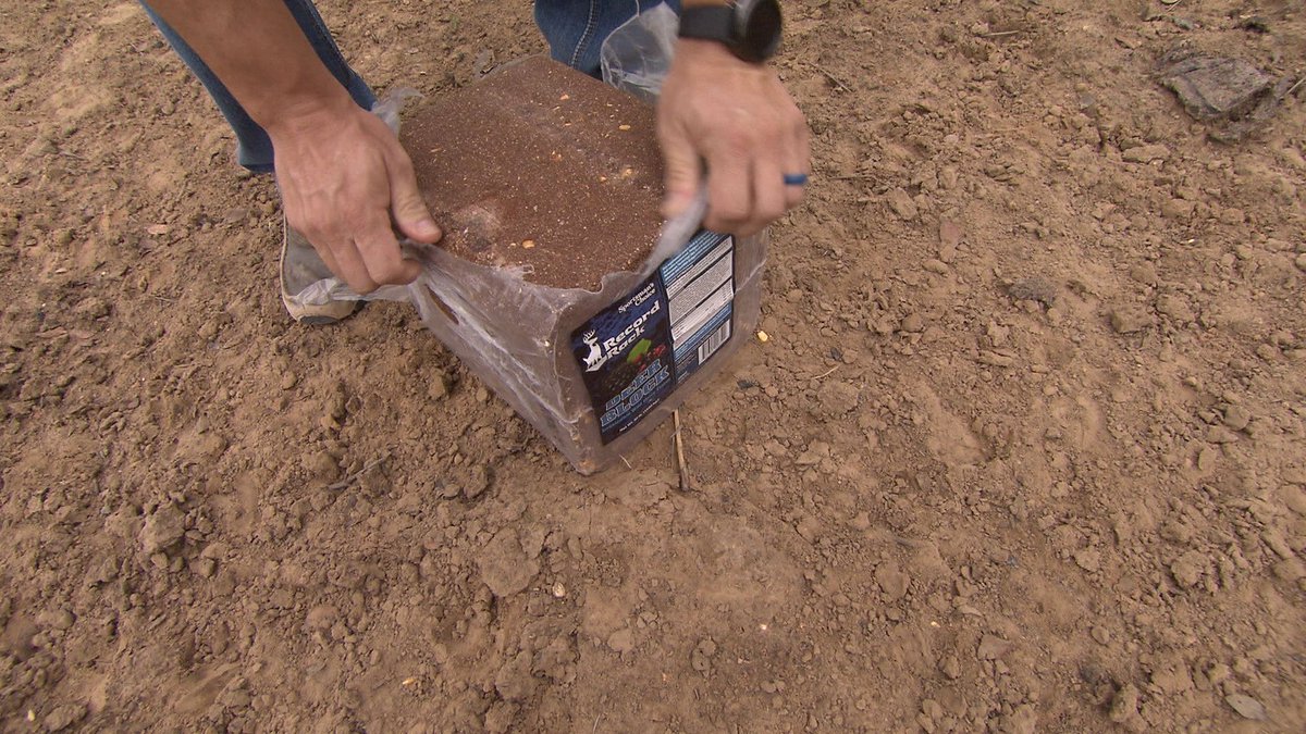 DeerGearTV's tweet photo. Food Prep.
#recordrackfeed #deerblocks #hunting https://t.co/AuBjx0YI3s