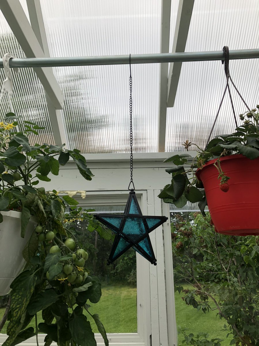 SweetReunion22's tweet photo. Some greenhouse bling for inside &amp; out. In-laws old weather vein redone, to be installed on gh roof. #TheFunPart 🌱 https://t.co/rulxqTeGQU