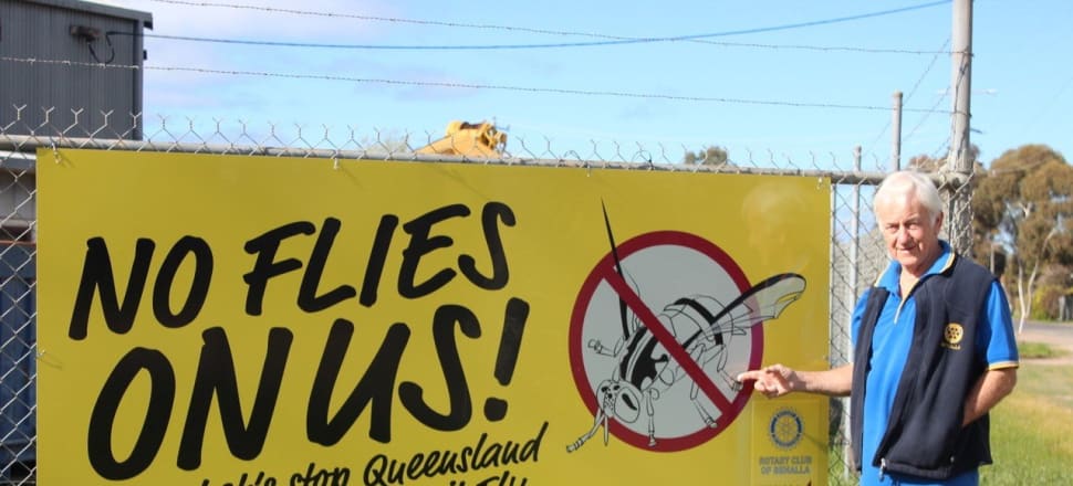 fruitflyittc's tweet photo. Fruit fly funding extended: Agriculture Minister Jaclyn Symes committed to providing additional funding for the Goulburn Murray Valley Fruit Fly Area Wide Management Project #fruitflycontrol #pestmanagement #Qfly https://t.co/3hQxQSiJ3H https://t.co/I7l1Oo9auo