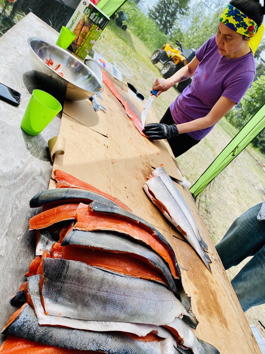 ejrdavid's tweet photo. The process has begun. #FishCamp #Alaskero #Athabascan #FishStrips https://t.co/btsyRM390H
