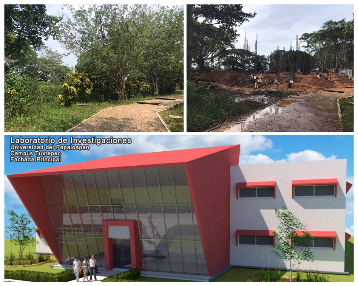 JulianMPCastro's tweet photo. A piece of land was borrowed from the jungle to build the Institute of Biotechnology. One decade of hard work is giving fruit. We promise to retribute the jungle with many talented graduates and relevant research. More news in months to come! https://t.co/FavEH3wfZc