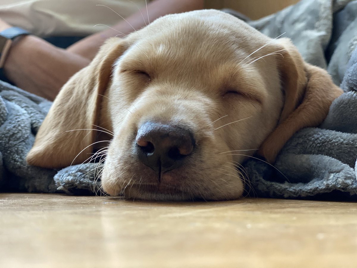 fuchsia_blue's tweet photo. Well.
She’s here.
Think my heart might just have melted a bit....
#HelloBlue https://t.co/77D46E2khY