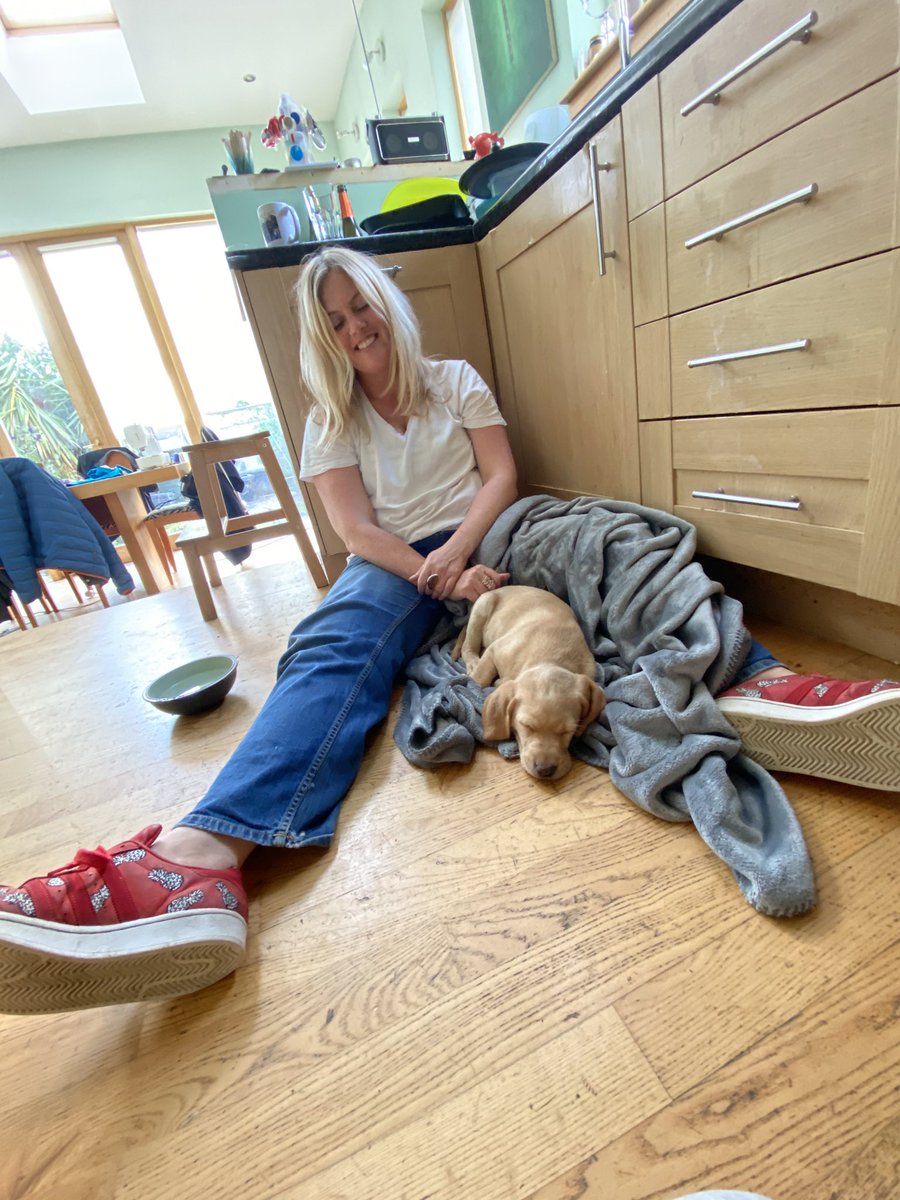 fuchsia_blue's tweet photo. Well.
She’s here.
Think my heart might just have melted a bit....
#HelloBlue https://t.co/77D46E2khY