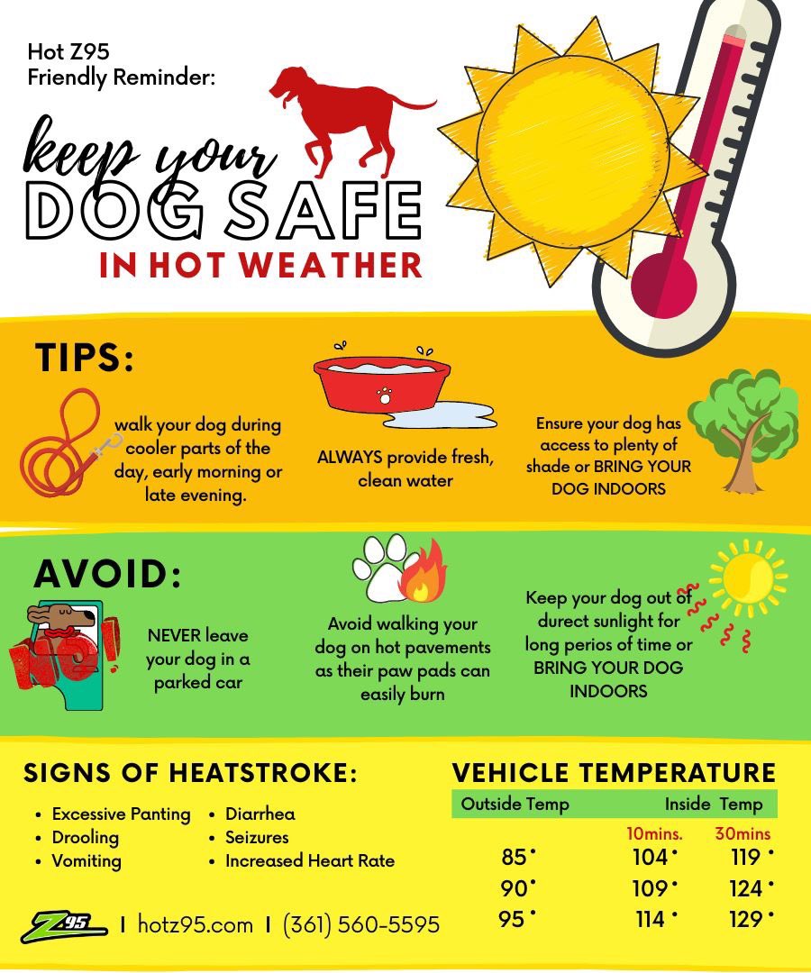 hotz95's tweet image. #HotZ95 Friendly Reminder about your Furbabies! ❤️