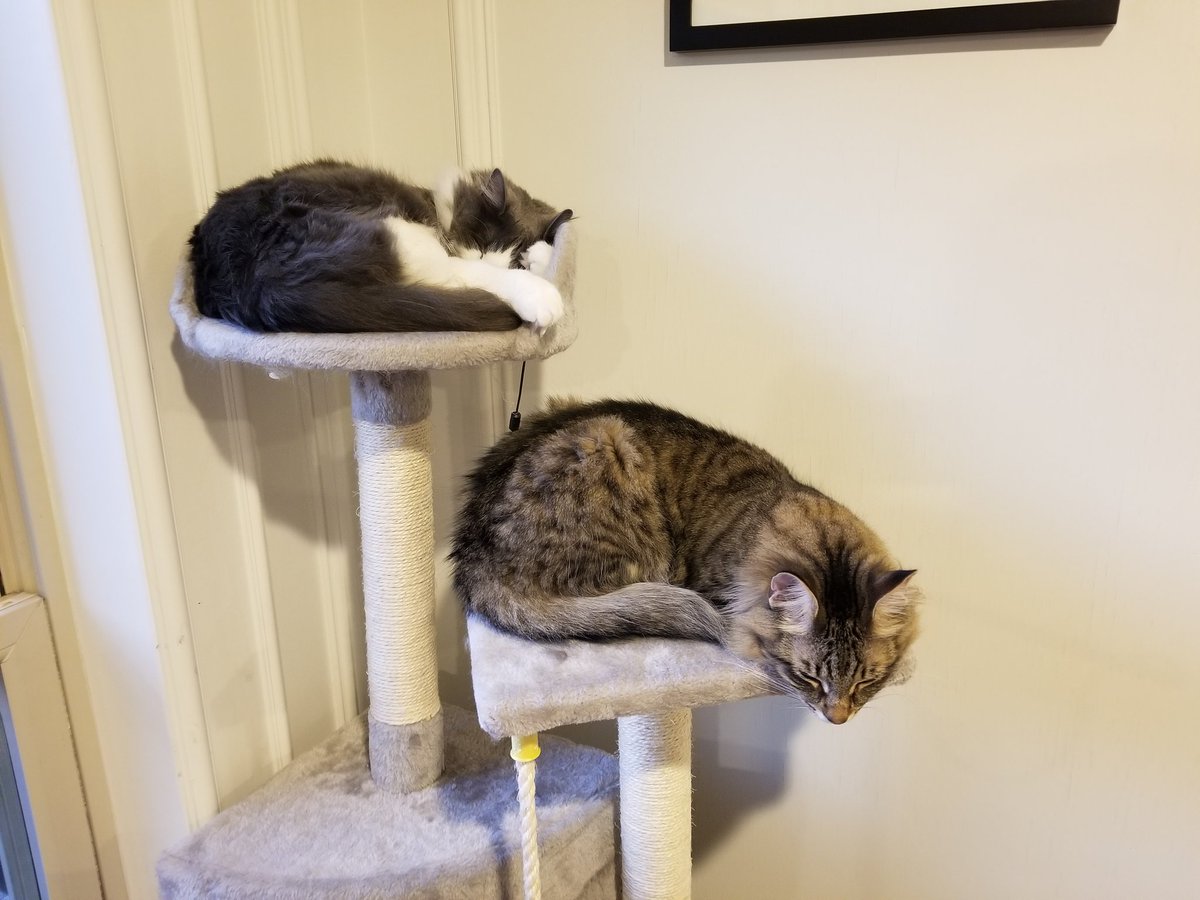 Robert Cardnell tweet media