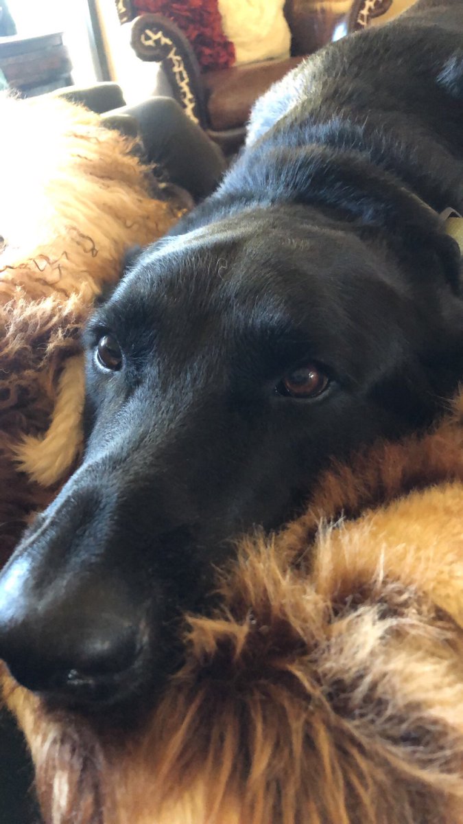 Erica Naud tweet media