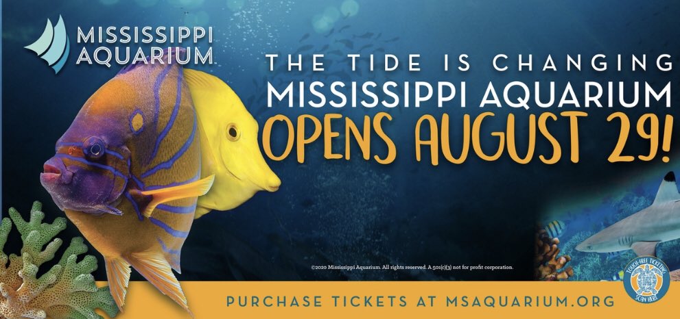 CityofGulfport's tweet photo. Mississippi Aquarium will open on August 29! This date holds much significance for the state of Mississippi, as 15 years ago, Hurricane Katrina transformed our coastline. @MS_aquarium is opening its doors to the public on this monumental day. #gptms https://t.co/YOAQII8avd