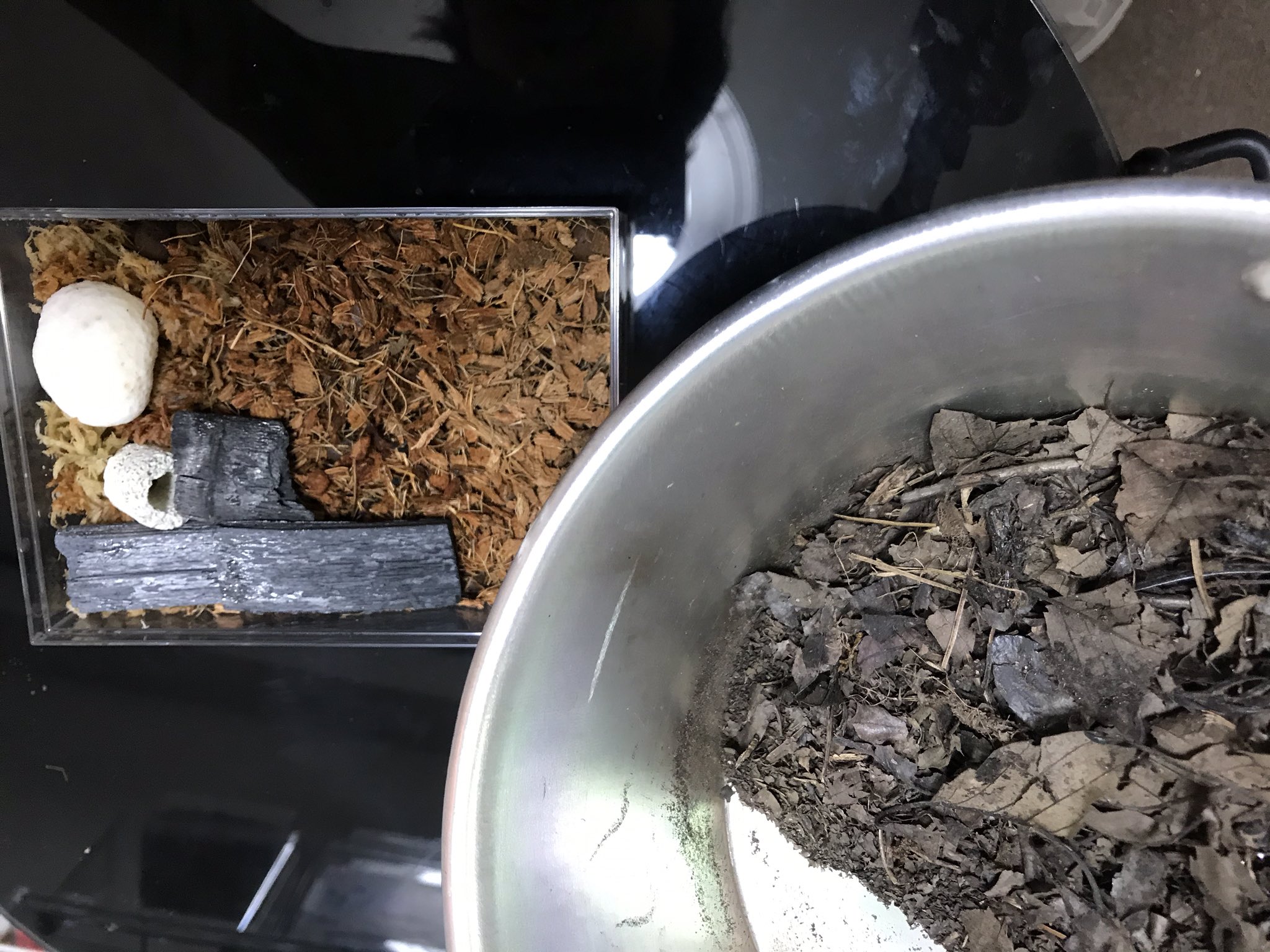 みけ だんごむし蒐集家 床上には竹炭おいたり サンゴ砂撒いたり煮沸殺虫した樹皮や落ち葉 腐葉土はあくまでも餌 場合によって人工海水の素とか有機石灰まぶしてから鍋で炒ってから1か月ぐらいで食べる分だけ敷く これでコバエは殲滅成功 ダニはこれから