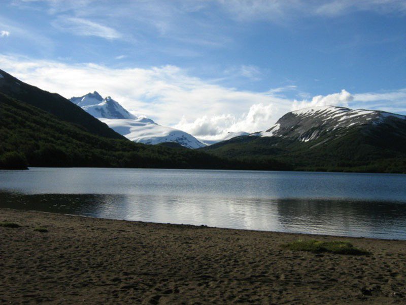 Yamila Trautman tweet media