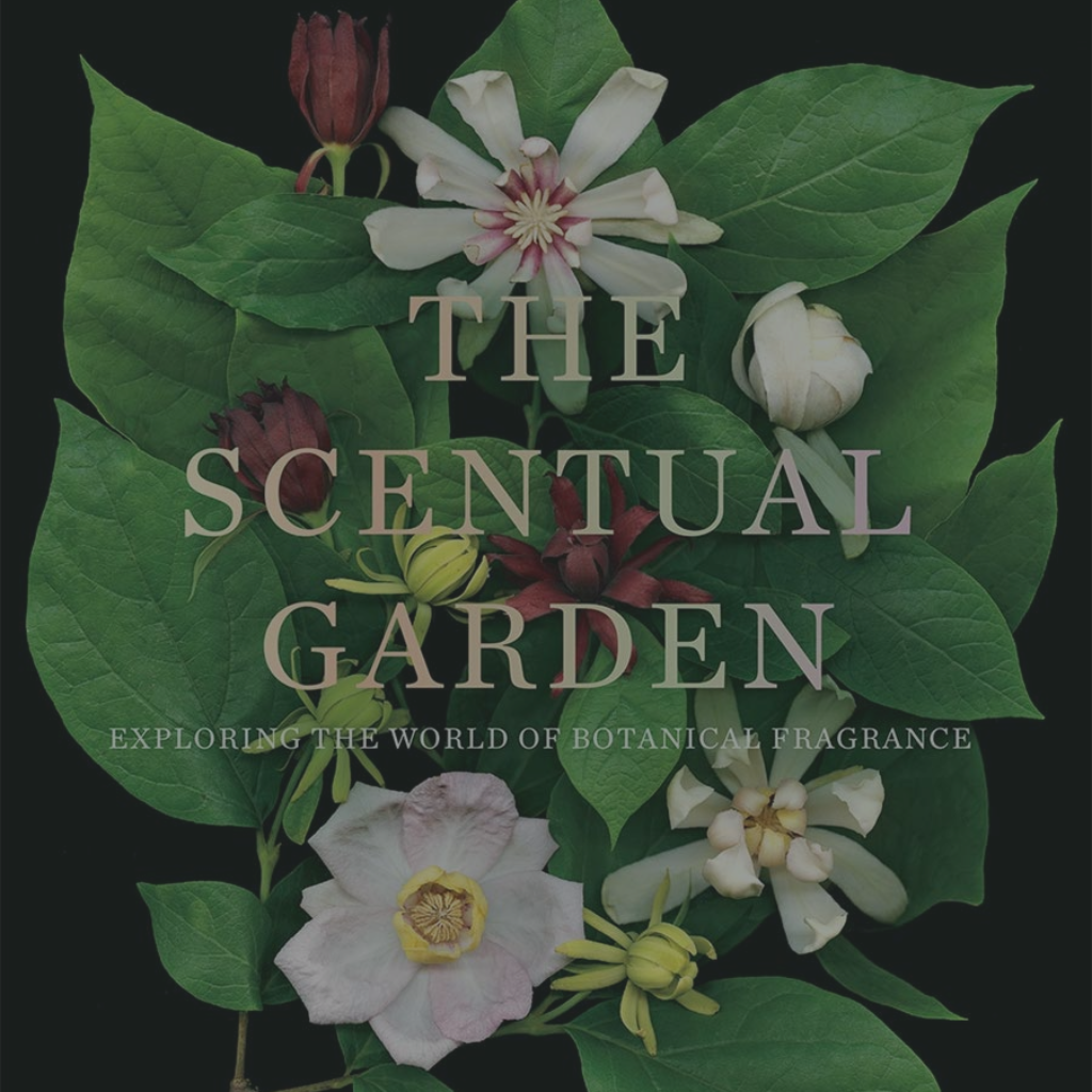 Today's Book Recommendation to Grow That Garden Library™:
Scentual Garden By Ken Druse
