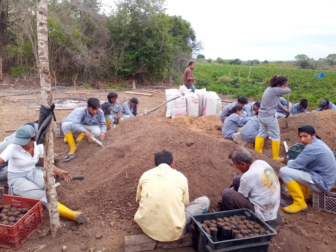 asopar20's tweet photo. Elaboración de abono orgánico para semillas de maracuyá.
#JulioMoreno #viacardoncito #Iceras #santaelena 
20/10/2020 https://t.co/L3uDB9J7t0