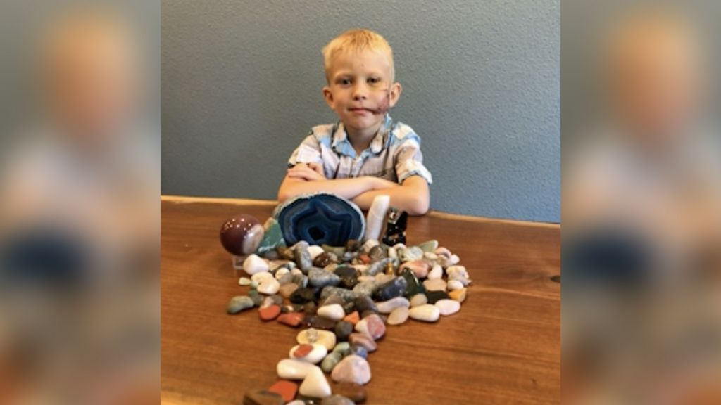 ABC7Chicago's tweet image. 6-year-old boy hailed a hero after saving sister from dog attack abc7chicago.com/6320108/?ex_ci…