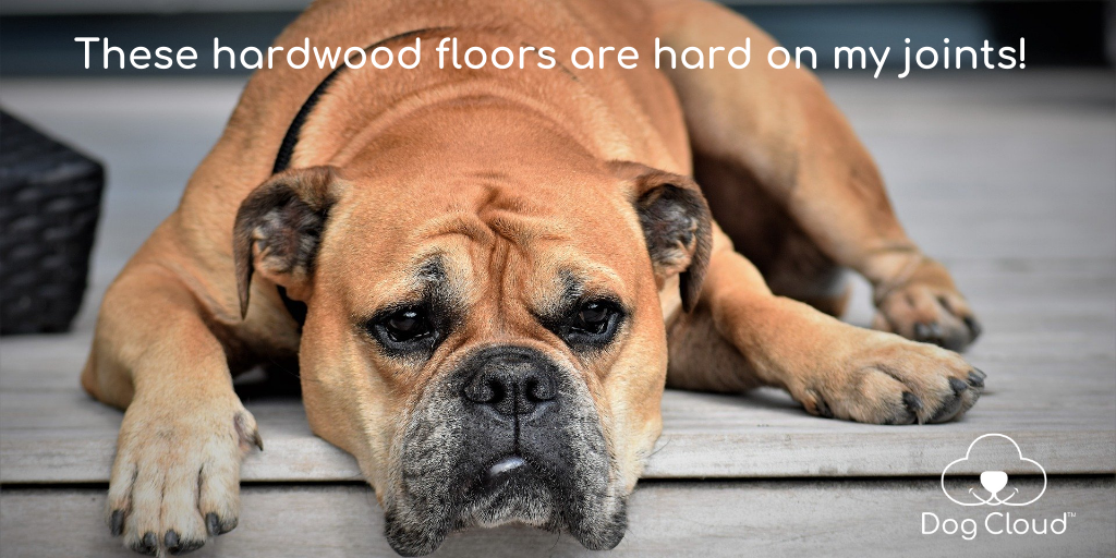 dogcloudbeds's tweet photo. Hardwood and tile floors cause dogs to slip and damage tendons and joint. Resulting in over 80% of dogs now suffering arthritis and joint pain as they age. #dogtherapy #treatyourdog https://t.co/HXltwAUJTo