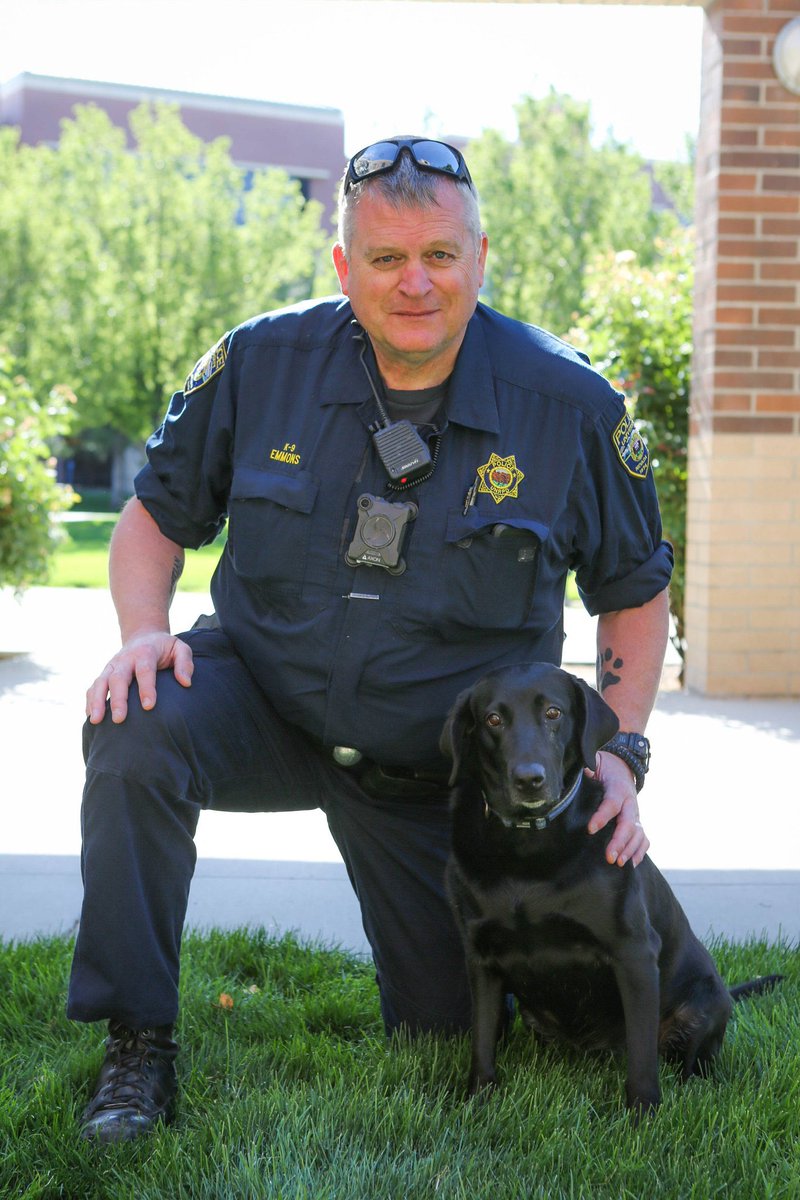 RenoPolice's tweet photo. Our hearts break for everyone @uofnevadapolice for the loss of Officer Bonnie. She was hit by a vehicle today while helping us search for a shooting suspect. Officer Bonnie was an outstanding K9 and partner. Rest Easy. https://t.co/y4q3HZLRe9