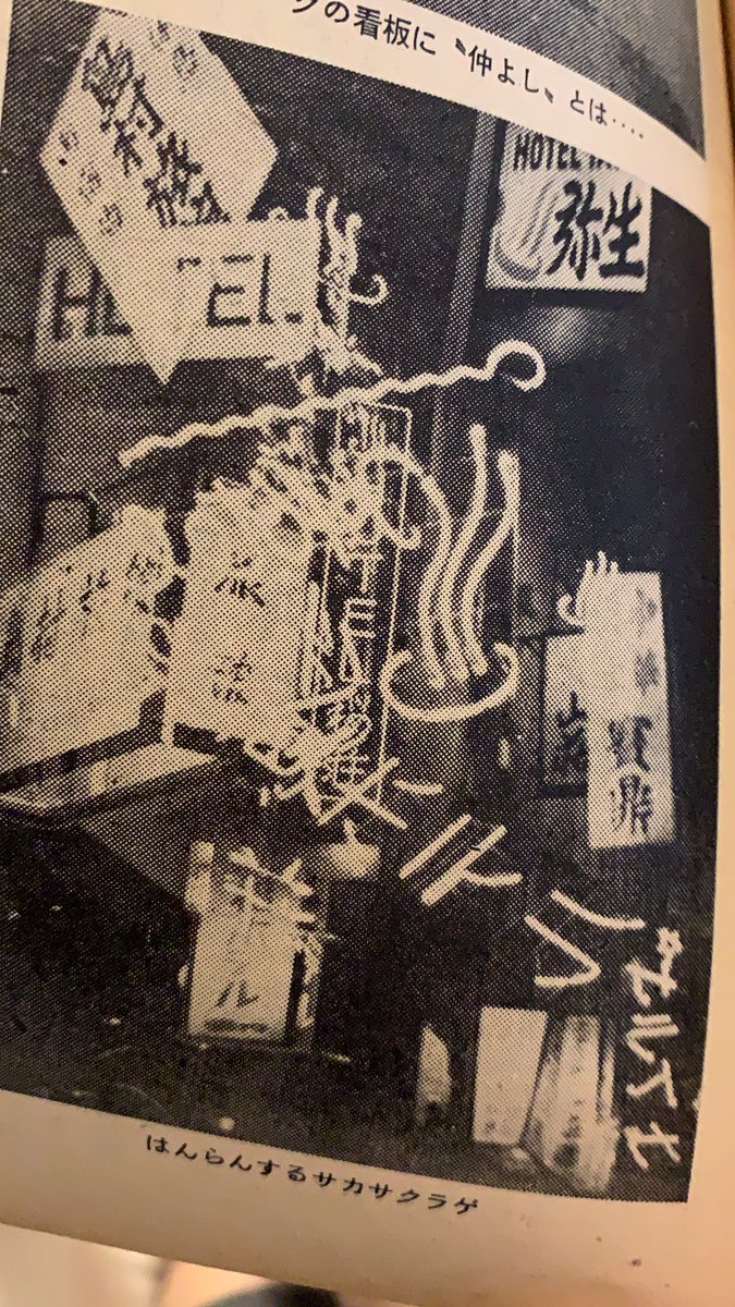 逆さクラゲ 戦後に濫立した連れ込み宿を指して「サカサクラゲ」と隠語めいて