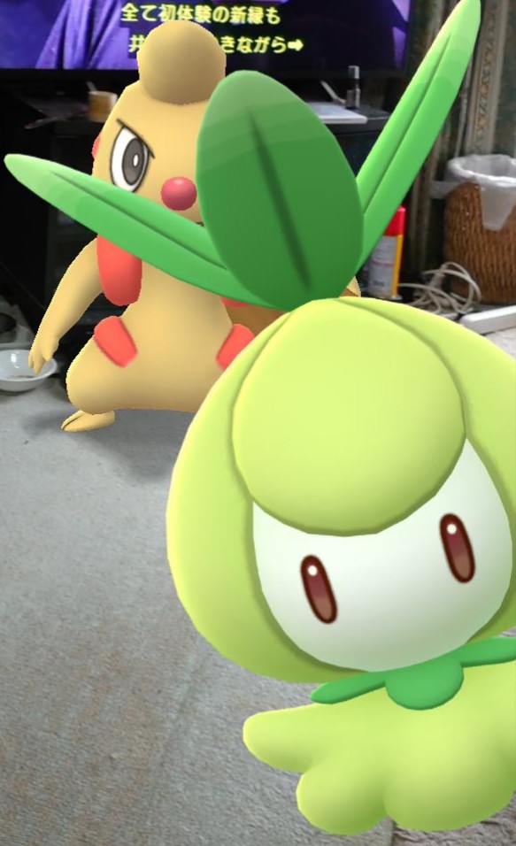 本日から実装されるチュリネの進化方法は たいようのいし チュリネの飴50個 のようです イッシュ地方のポケモンですが原作でたいようの石で進化 するため Goでもたいようの石での進化になっていると思われます ポケモンgo ツイレポ