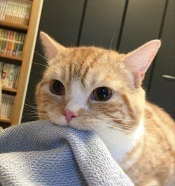 ChemicalCowgrl's tweet photo. feel like this rn https://t.co/sn8S2qu1G8