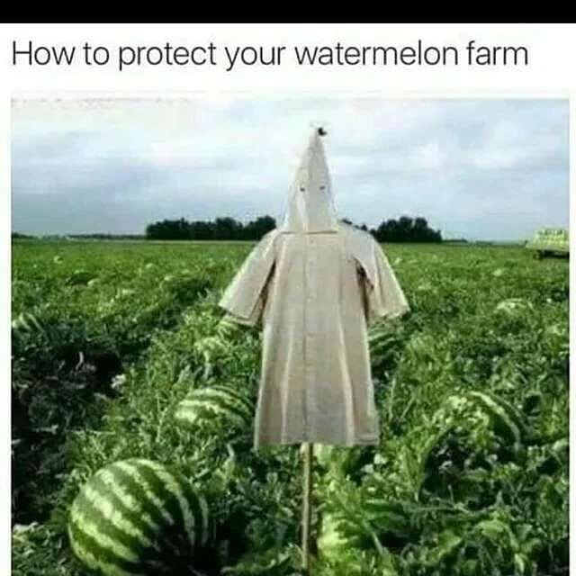 Mr cline's fallout shelter tweet media