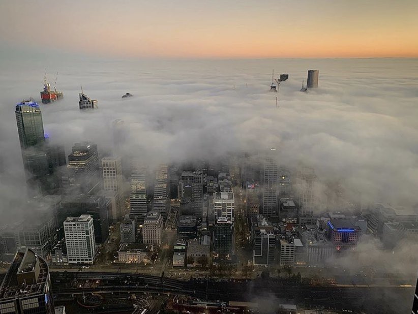 We’re living our best fog 🌫 life. 
📸: Daniel Balakas 👏👏👏