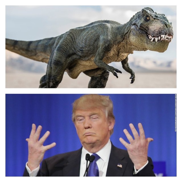 susanmarandi's tweet photo. Which do you think would serve as a better reply to this #Riddle for my #language_class? Please help.
Q: What's the difference between a Tyrannosaurus and Trump?
A1 - Nothing. Both are decrepit, tyrannical, ugly, & have tiny hands.
A2 - One is extinct; the other, sadly, is not. https://t.co/9BJ16pBPY5