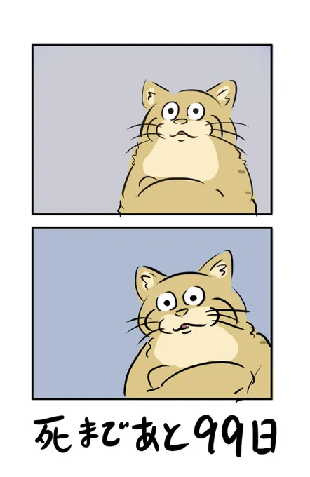 生きるネコ。(再) 