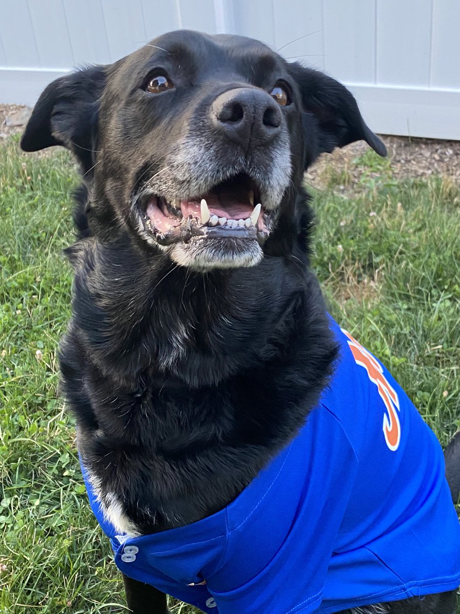 IzzyTessler's tweet photo. Herrrroo @Mets Twitter, wanted to check if these are photos are allowed for the cutouts. https://t.co/bk87hz1rUN