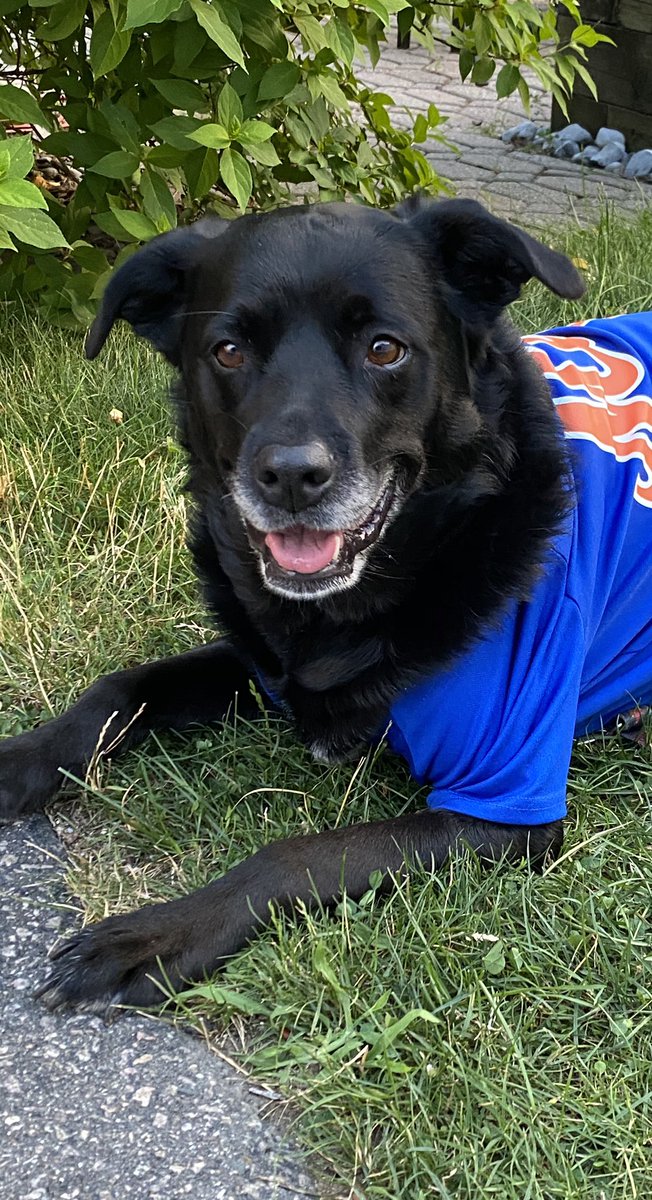 IzzyTessler's tweet photo. Herrrroo @Mets Twitter, wanted to check if these are photos are allowed for the cutouts. https://t.co/bk87hz1rUN