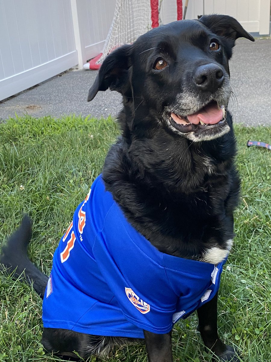 IzzyTessler's tweet photo. Herrrroo @Mets Twitter, wanted to check if these are photos are allowed for the cutouts. https://t.co/bk87hz1rUN