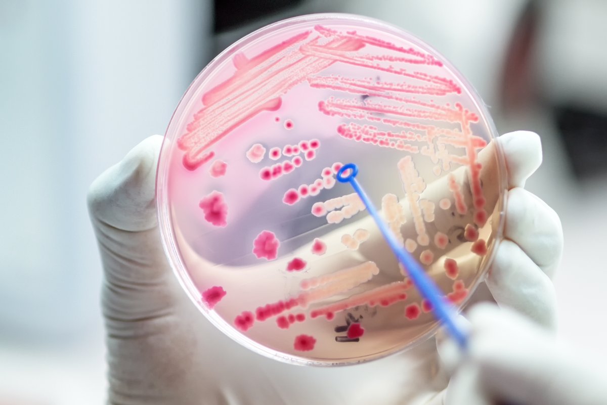 ACIARAustralia's tweet photo. 🚩This morning @MarisePayne &amp; @D_LittleproudMP  launched the new #OneHealth international research program backed by $10.2 million to address growing rate of #zoonotic diseases in Asia+Pacific, a partnership between ACIAR+@dfat+@CentreHealthSec. #COVID19

https://t.co/o8aaBVIenC https://t.co/THq4bmn0GC