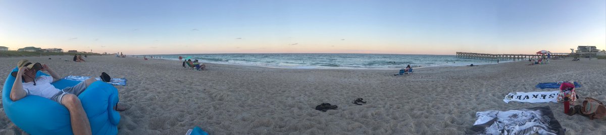 🐋🐳Whale Watching