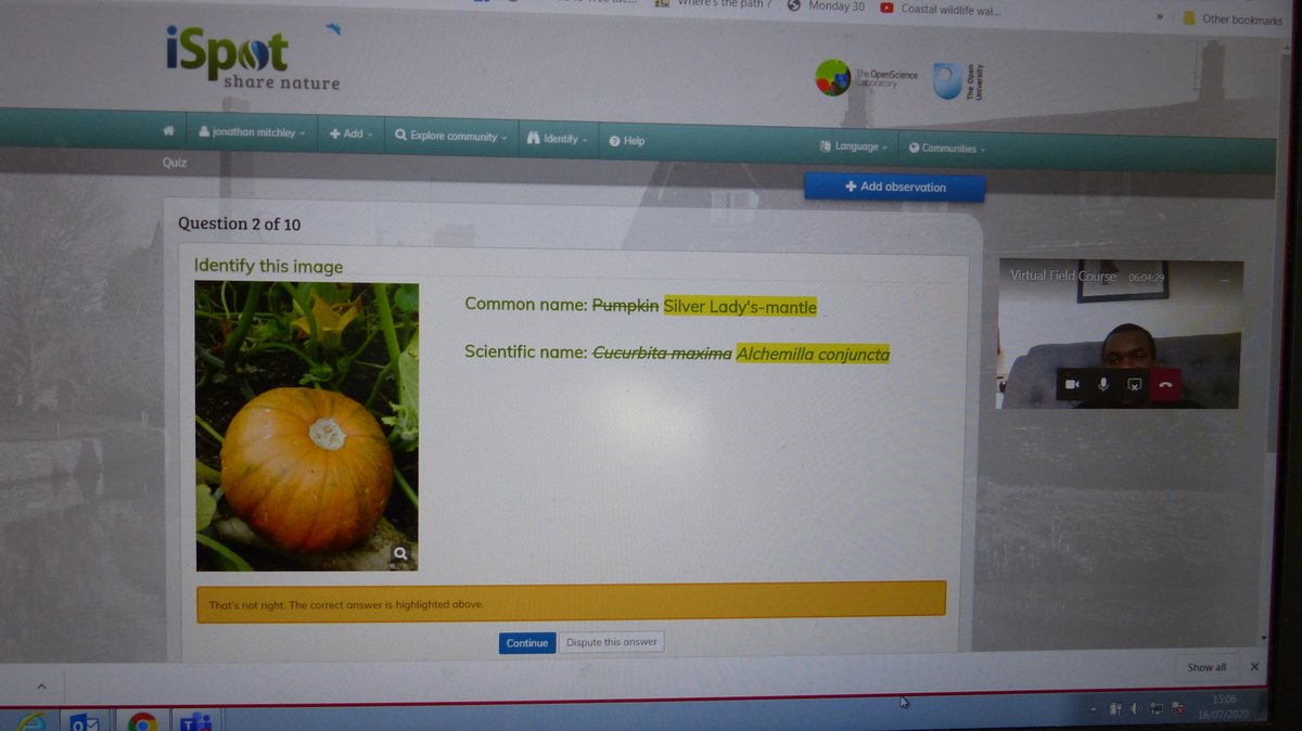 readingbotany's tweet photo. This morning @UniofReading @ReadingBioSci #MScPlDiv spent some quality time practicing plant ID using @iSpotnature plant ID "expert" level - naturally! Imagine our surprise & bewilderment when our Pumpkin ID was called into question?! We pressed "dispute" - naturally! @kitenet https://t.co/DTduFDDING