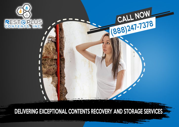 RestoInc's tweet image. In Resto Plus Contents Inc, we value on-time performance and accelerated cleaning methods while ensuring quality control and safety procedures with our products and services. 🕒 📈 👍 #RestoPlusContents #contentsmanipulation #contentspackout #contentsrestoration #longbeachca