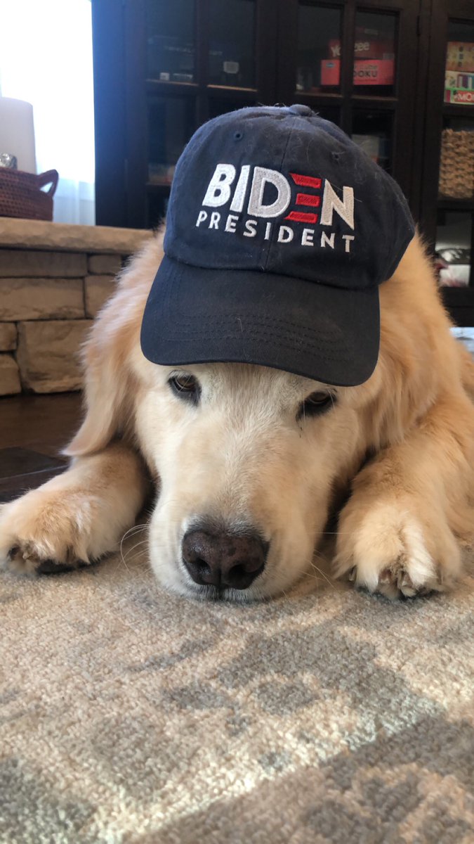 hey #studentsforbiden! we want to see your best pics of your #dogsforbiden in the thread below!⬇️