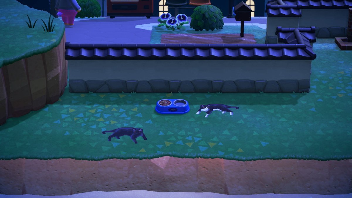 animal_code's tweet image. #AnimalCrossing #ACNH #NintendoSwitch