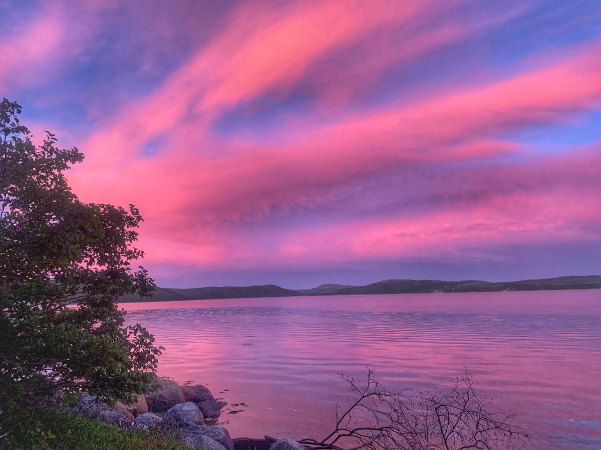 FrancineEmbanks's tweet photo. WOW the sky was like cotton candy tonight absolutely amazing 😮❤️ #Newfoundland #Glovertown #cottoncandysky #beautiful #wow #amazing #pinkandpurple #oceanview #loveit #gorgeous #thatviewtho #lovenewfoundland #peaceful https://t.co/L7OyZydXFW