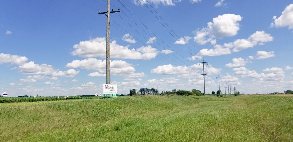 KatharynHouston's tweet photo. On today's episode of very well done small plot sites on the #1: @nielsenseeds featuring silage and grain specific varieties including + Soys - give Soren a call for an tour 👍🏻
@PRIDESEEDS @canterraseeds https://t.co/SSDPz1BT9S