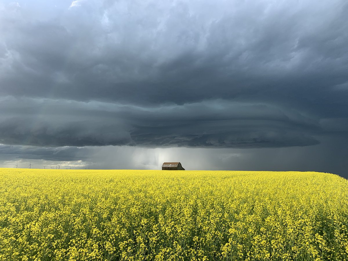 adolwyn's tweet image. Can you get any more Alberta? #abstorm looking NW from highway 21 north of Trochu. 6:31pm